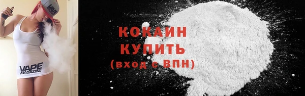 шишки Абаза