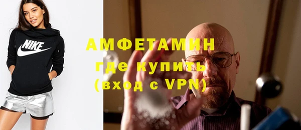 шишки Абаза