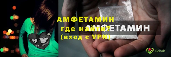 шишки Абаза