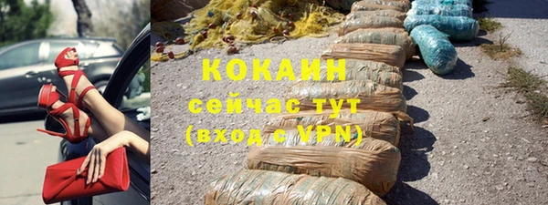 шишки Абаза