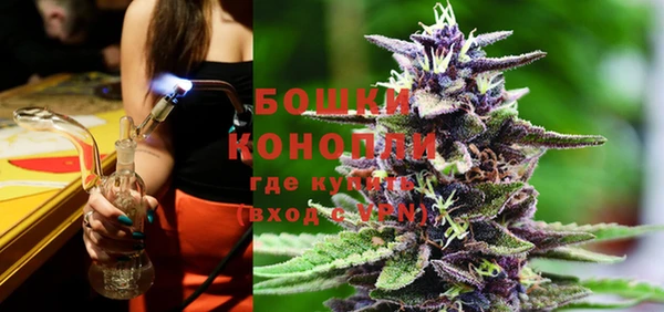 шишки Абаза