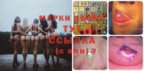 шишки Абаза