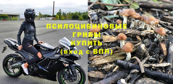 шишки Абаза