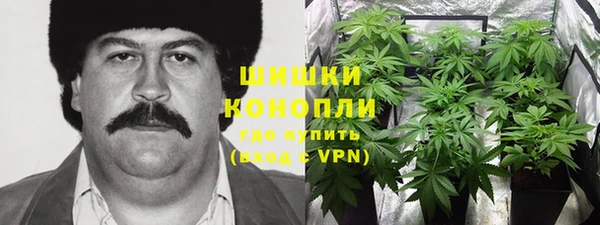 шишки Абаза